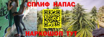 PSILOCYBIN Бугуруслан